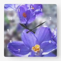 Foto de Flores Roxas Crocus