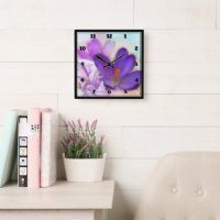 Foto de um Bonito Primavera-Crocus Roxo