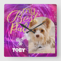 Foto do Cão-de-Pet Mangenta