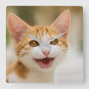 Relógio Quadrado Foto engraçada de sorriso bonito do Meow do gato