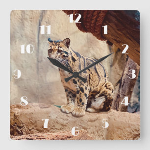 Relógio Quadrado foto-leopardo nublada natureza vida selvagem exóti