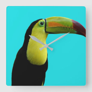 Relógio Quadrado Foto moderna de um animal tropical tucano