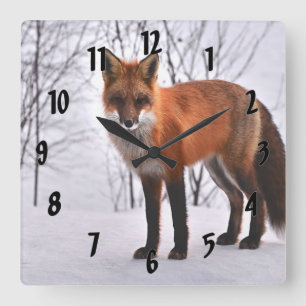 Relógio Quadrado Fox vermelho no inverno