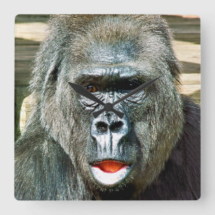 RELÓGIO QUADRADO FUNNY CUTE GORILLA
