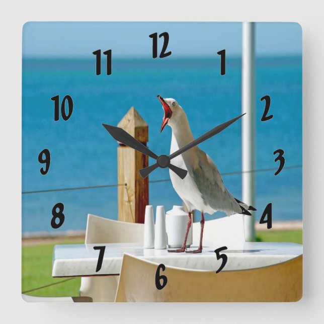 Relógio Quadrado Gaivota parva (Frente)