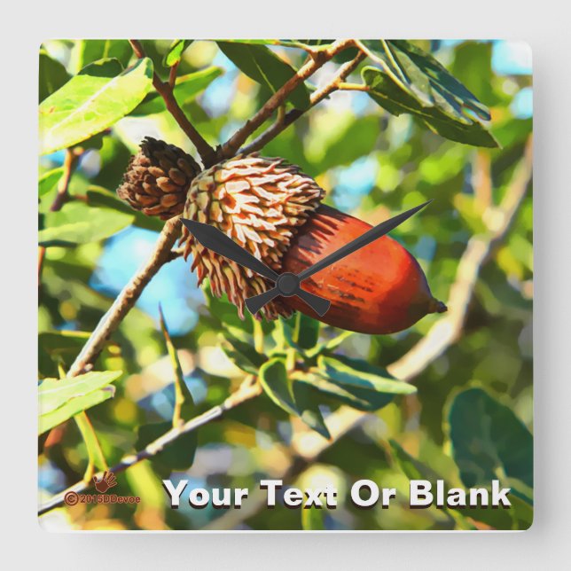 Relógio Quadrado Galilee Acorn (Frente)