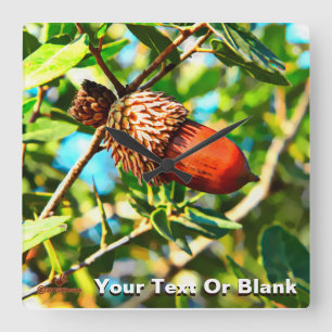 Relógio Quadrado Galilee Acorn