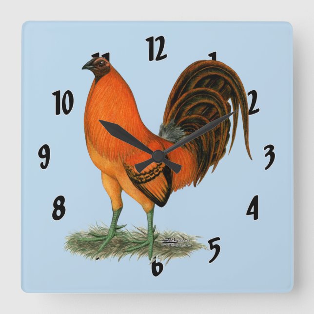 Relógio Quadrado Gamecock Ginger Red Rooster (Frente)