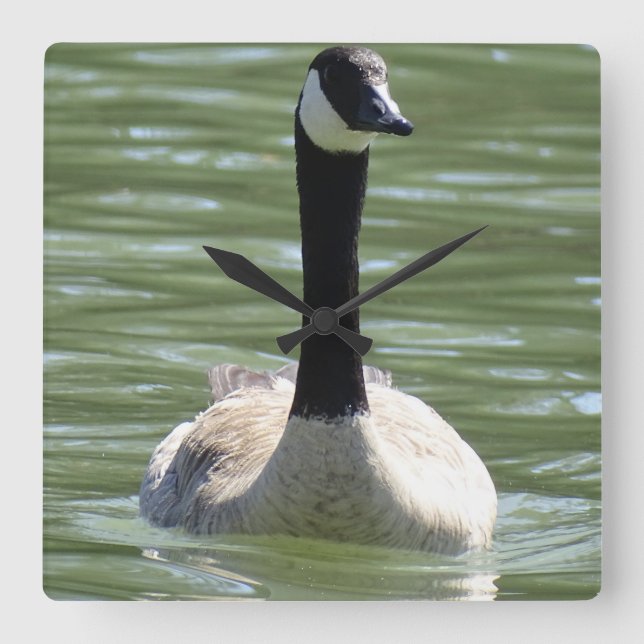 Relógio Quadrado Ganso (Frente)