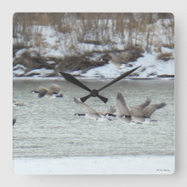 Relógio Quadrado Gansos canadenses B7