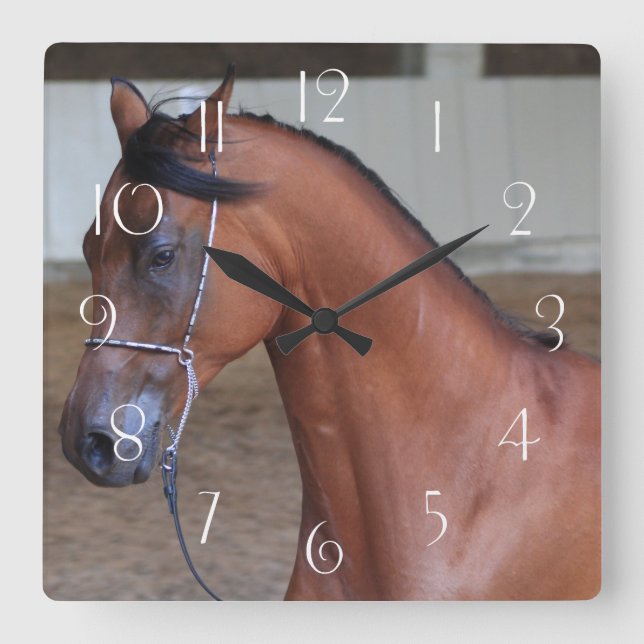 Relógio Quadrado Garanhão-árabe lindíssimo (Frente)