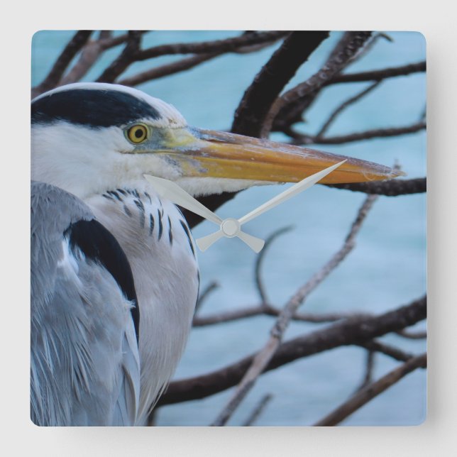 Relógio Quadrado Garça-real cinzenta (Frente)