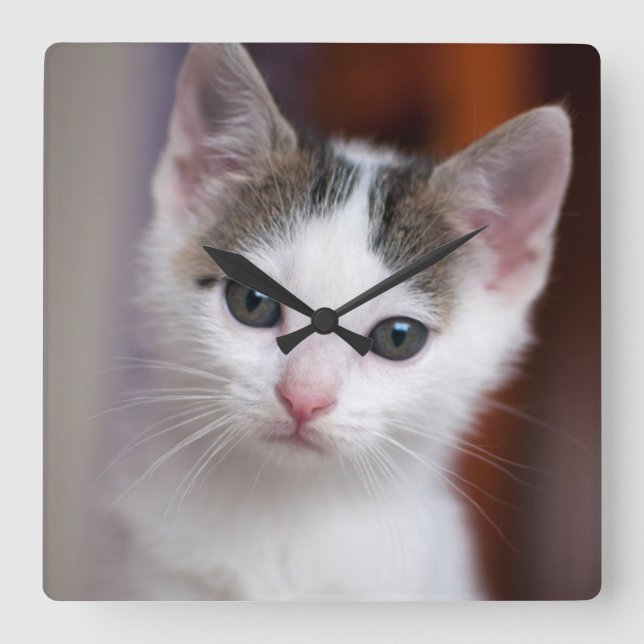 Relógio Quadrado Gatinho branco (Frente)