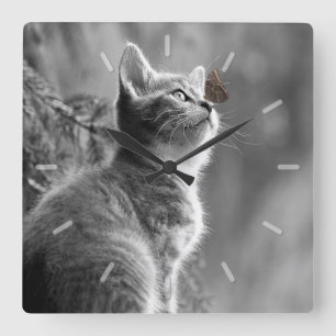 Relógio Quadrado Gatinho cinzento bonito com a borboleta no nariz