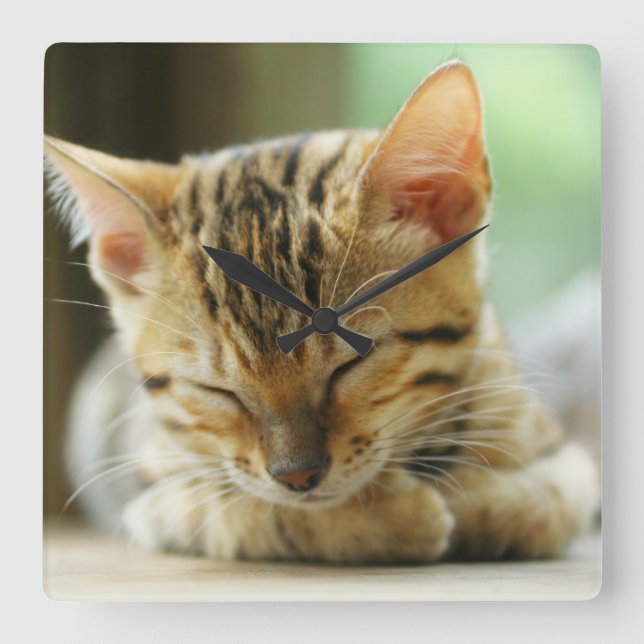 Relógio Quadrado Gatinho De Bebê Dormindo (Frente)