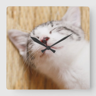 Relógio Quadrado Gatinho do sono