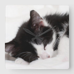 Relógio Quadrado Gatinho do sono