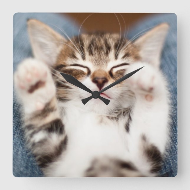 Relógio Quadrado Gatinho em meu regaço (Frente)