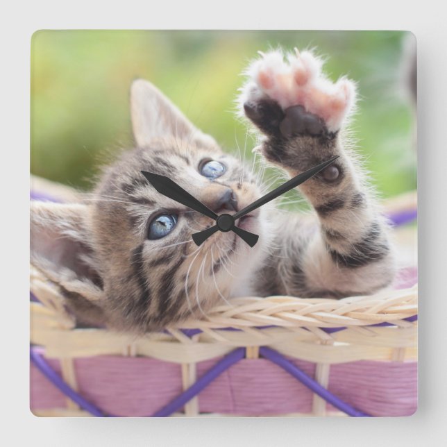 Relógio Quadrado Gatinho em uma cesta (Frente)