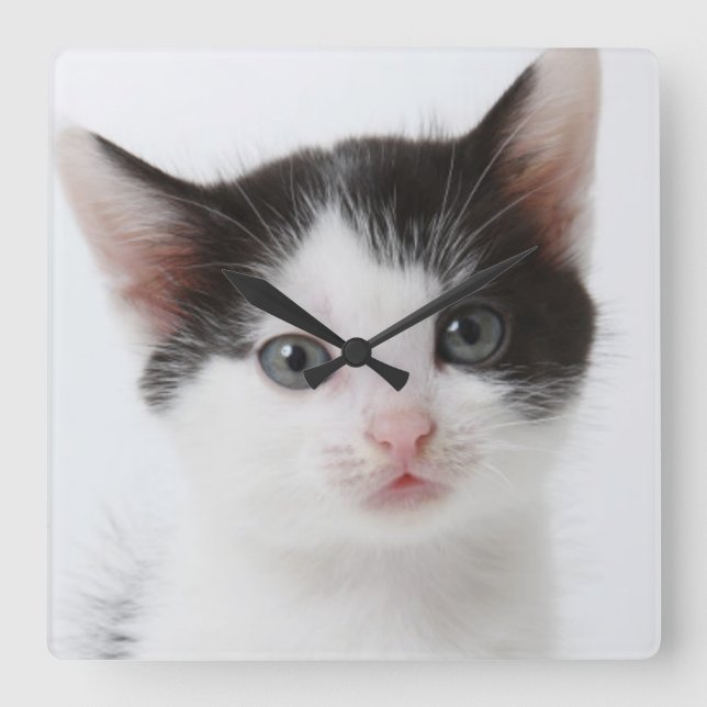 Relógio Quadrado Gatinho manchado preto (Frente)