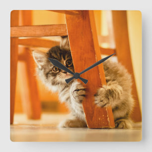 Relógio Quadrado Gatinho sob a cadeira