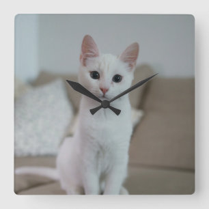 Relógio Quadrado Gato branco   Zazzle_Growth.