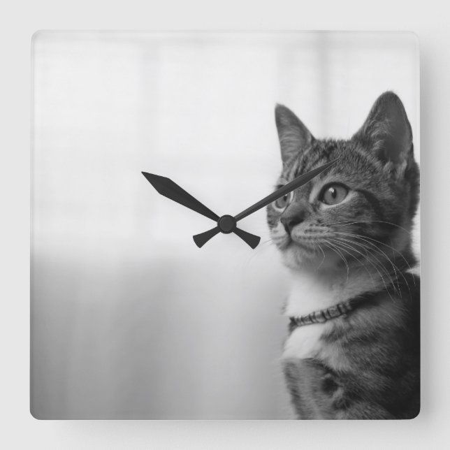 Relógio Quadrado Gato Cinto (Frente)