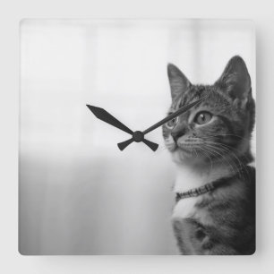 Relógio Quadrado Gato Cinto