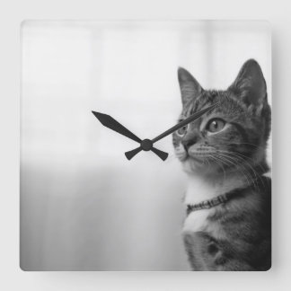 Relógio Quadrado Gato Cinto