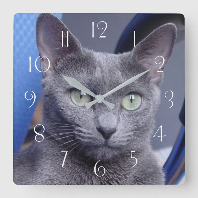 Relógio Quadrado Gato de ‎ Azul Russo (Frente)