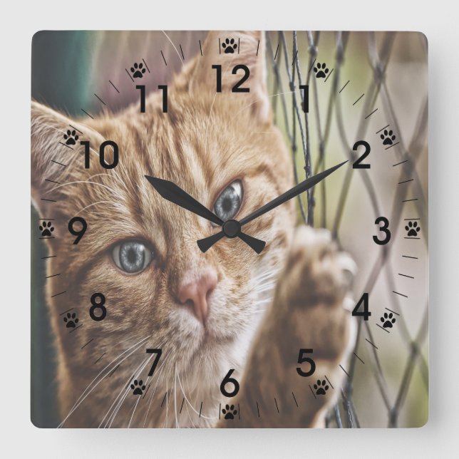 Relógio Quadrado Gato Na Cerca (Frente)