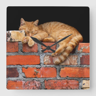 Relógio Quadrado Gato na Parede Brick