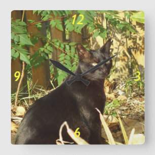 Relógio Quadrado Gato preto no pulso de disparo de parede de Sun da