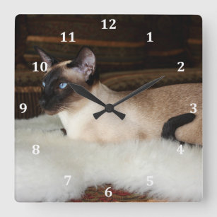 Relógio Quadrado Gato Siamese elegante