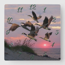 GEESE SOBRE AS DUNAS