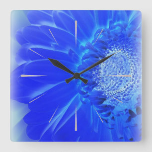 Relógio Quadrado gerbera azul elétrico