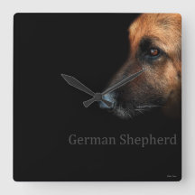 German shepherd