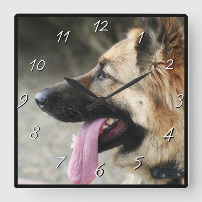 relógio quadrado german shepherd cão (Frente)