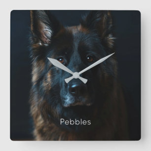Relógio Quadrado German shepherd de Fotografias Personalizado