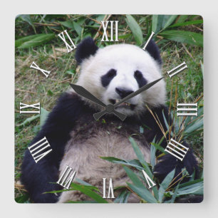 Relógio Quadrado Giant Panda Continue Sorrindo, China Animais