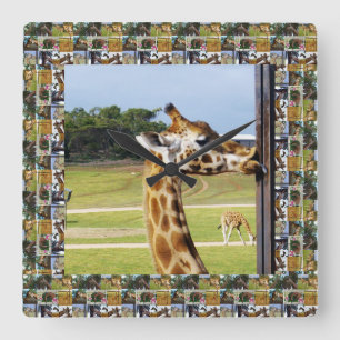Relógio Quadrado Girafa Engraçada Pedindo Um Polo,