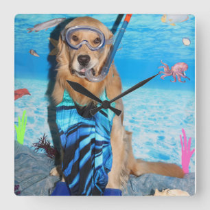 Relógio Quadrado Golden retriever Snorkeler