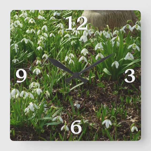 Relógio Quadrado Gotas de neve II (Galanthus) Primavera (Frente)