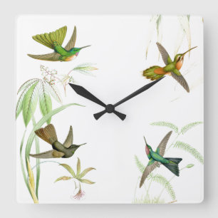 Relógio Quadrado Goulds Hummingbird Wall Clock