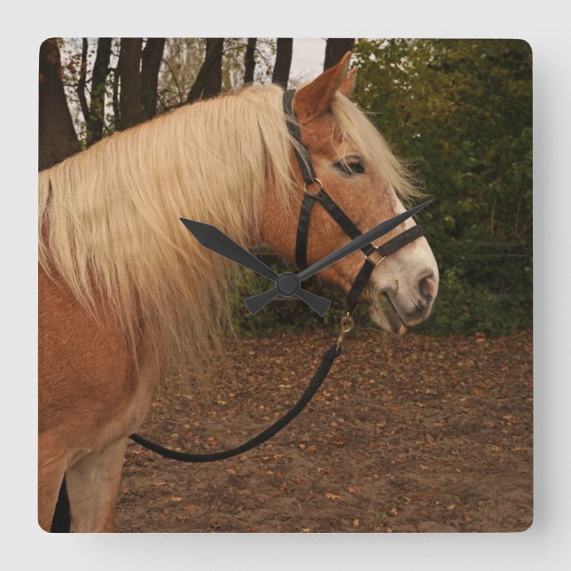 Relógio Quadrado Haflinger Wallach Mifisto - Wanduhr (Frente)