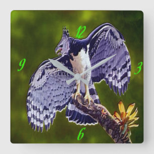 Relógio Quadrado "Harpy Eagle" Acrylic Wall Clock