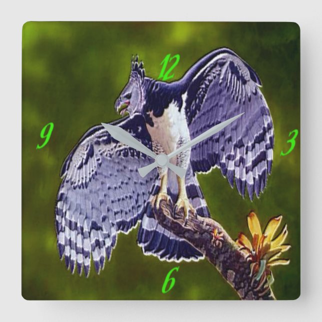 Relógio Quadrado "Harpy Eagle" Acrylic Wall Clock (Frente)