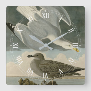 Relógio Quadrado Herring Gull do Birds of America, de John Audubon