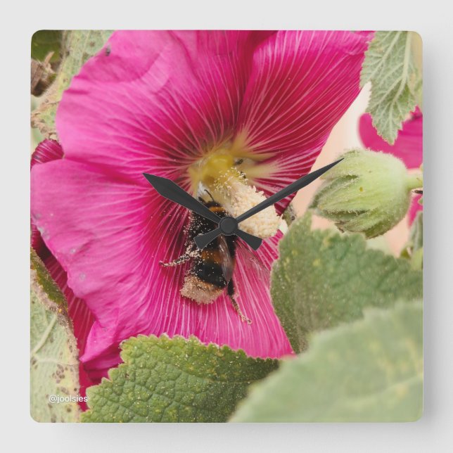 Relógio Quadrado Hollyhock bumble bee Square Wall Clock (Frente)