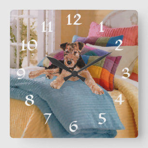 Relógio Quadrado Hora da Soneca para o Cachorrinho